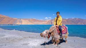 leh ladakh tour packages for couple